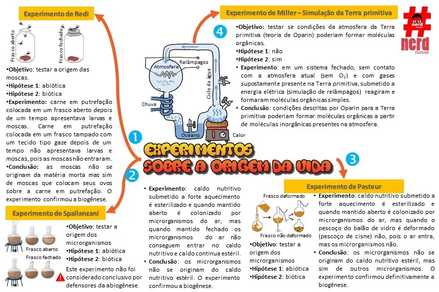 Arquivo De Biologia Pagina 4 De 5 Study Maps Aulas De Biologia Respiracao Celular Cartoes De Estudo
