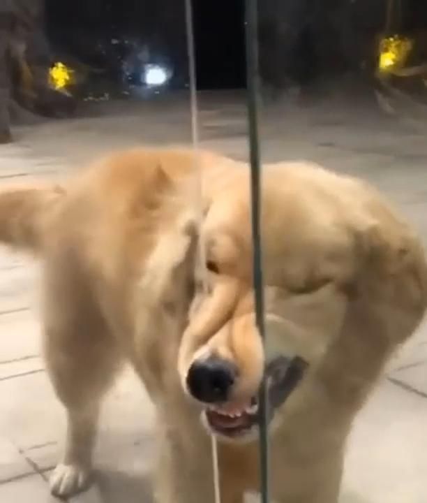 Please, open the door Please, open the door