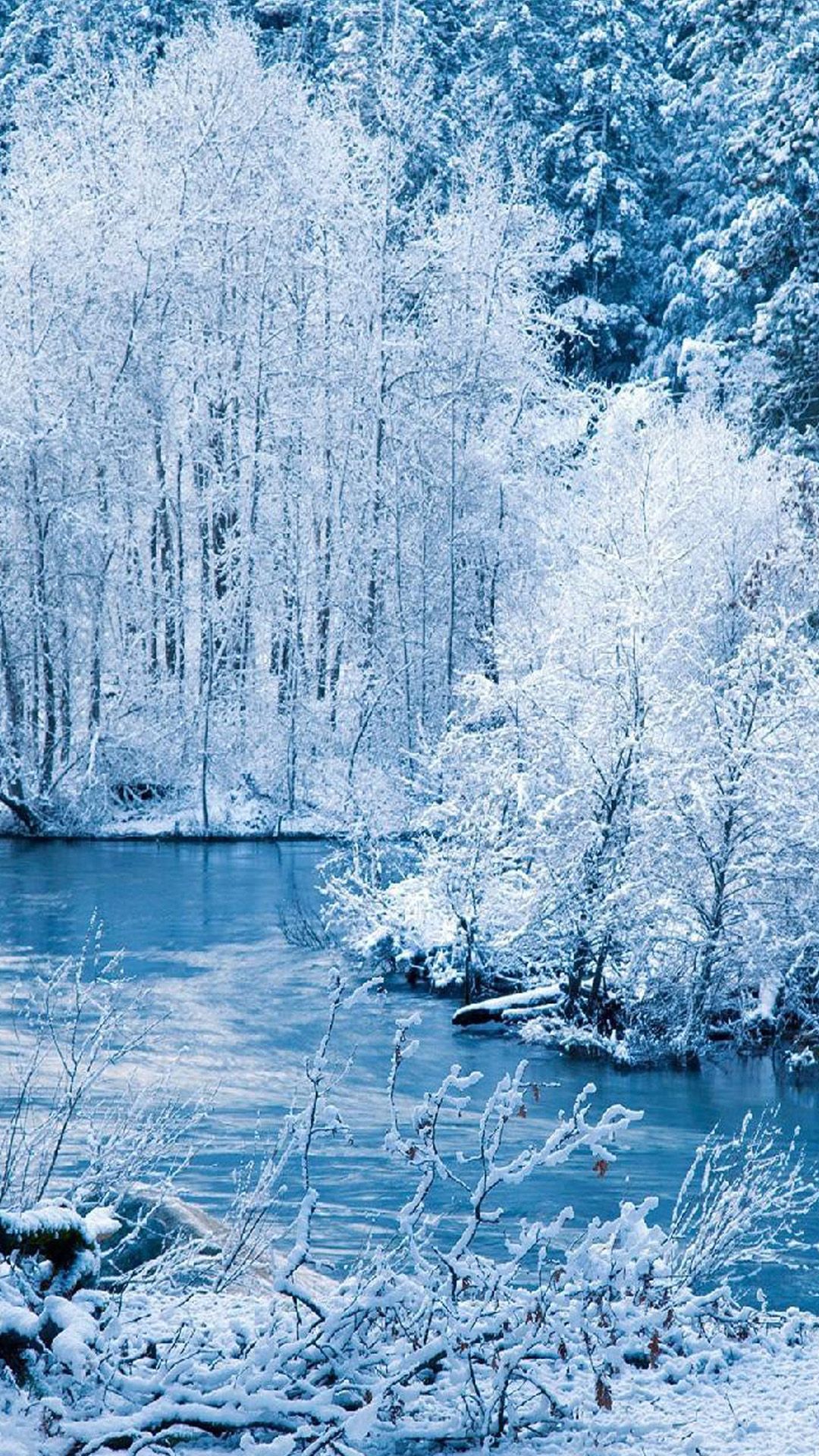 1080x1920 Wallpaper New Year Trees Snow Iphone Wallpaper Winter Nature Wallpaper Wallpaper Iphone Christmas