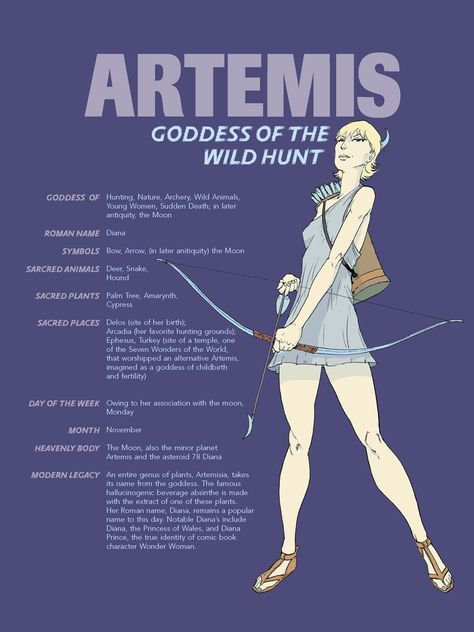 Artemis Olympians Wild Goddess of the Hunt