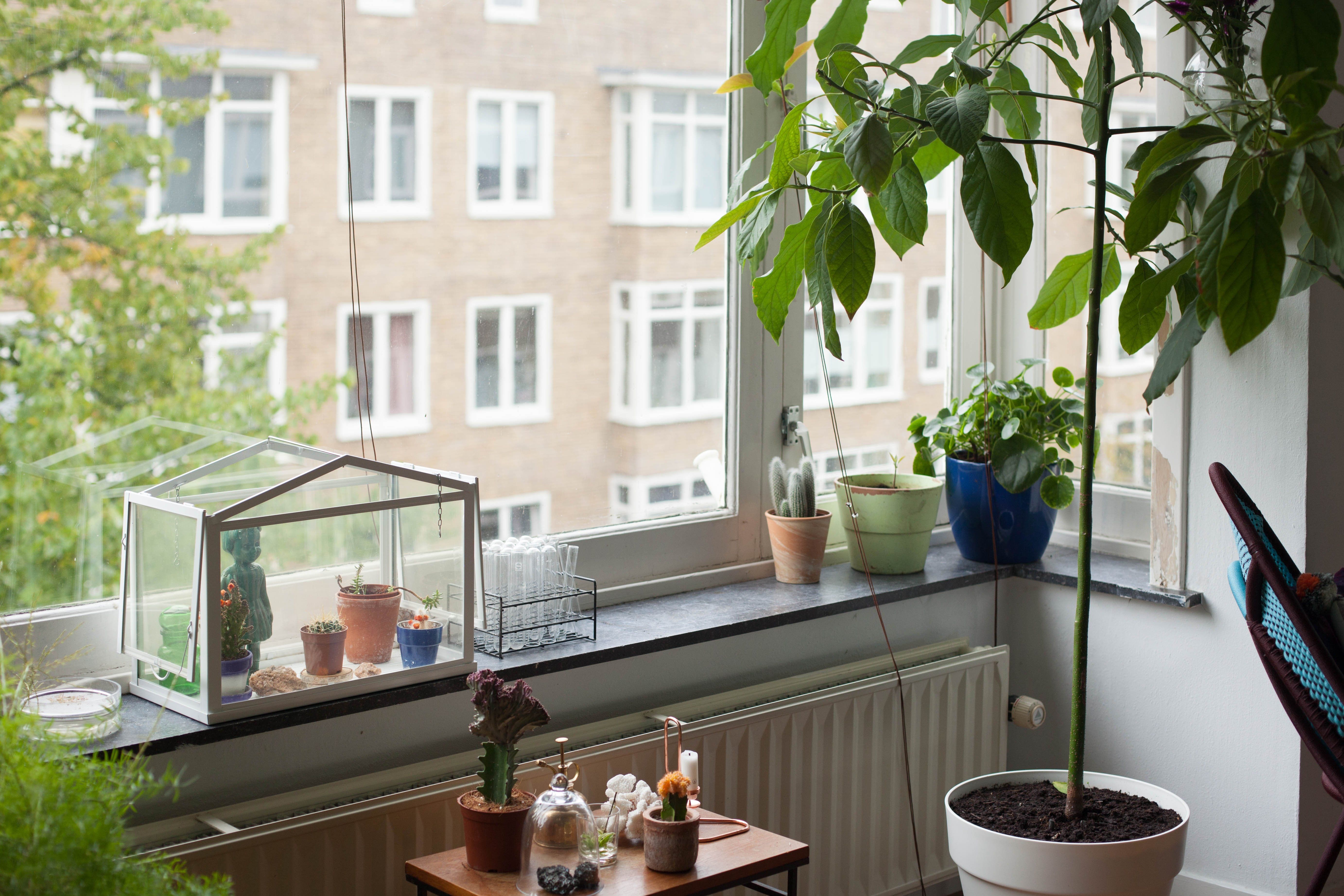 House Tour A Bright Amsterdam Apartment - Apartment Therapy House Tour A Bright Amsterdam Apartment - Apartment Therapy