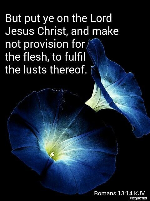 Romans 13:14 KJV - But put ye on the
Lord Jesus Christ, and make ...