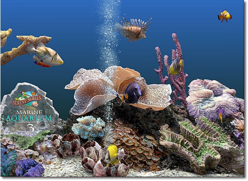 Marine Aquarium 3 Free Download