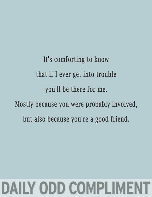 Daily Odd Compliments Gallery - Imgur Me Quotes, Funny Quotes, Friends Quotes, Daily Odd Compliment, Odd Compliments, All That Matters, The Network, True Stories, Odds