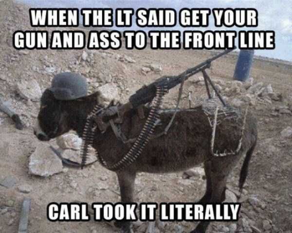 find this pin and more on military humour and stfu carl memes 7f715d13a4848e434a6a79e4dc69da2a find this pin and more on military humour and stfu carl memes