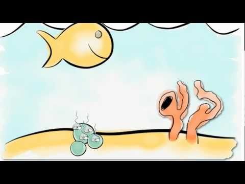 sexual animated pictures Sexual animated pictures