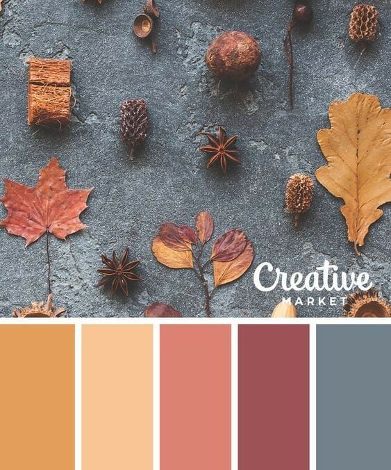 County Road 407 Great Fall color combinations to get us excited about fall gathered by CountyRoad407.com Fall Color Palette, Colour Pallette, Color Palate, Fall Colors, Design Seeds, Color Schemes Colour Palettes, Color Combos, Colour Combinations Interior, Combination Colors