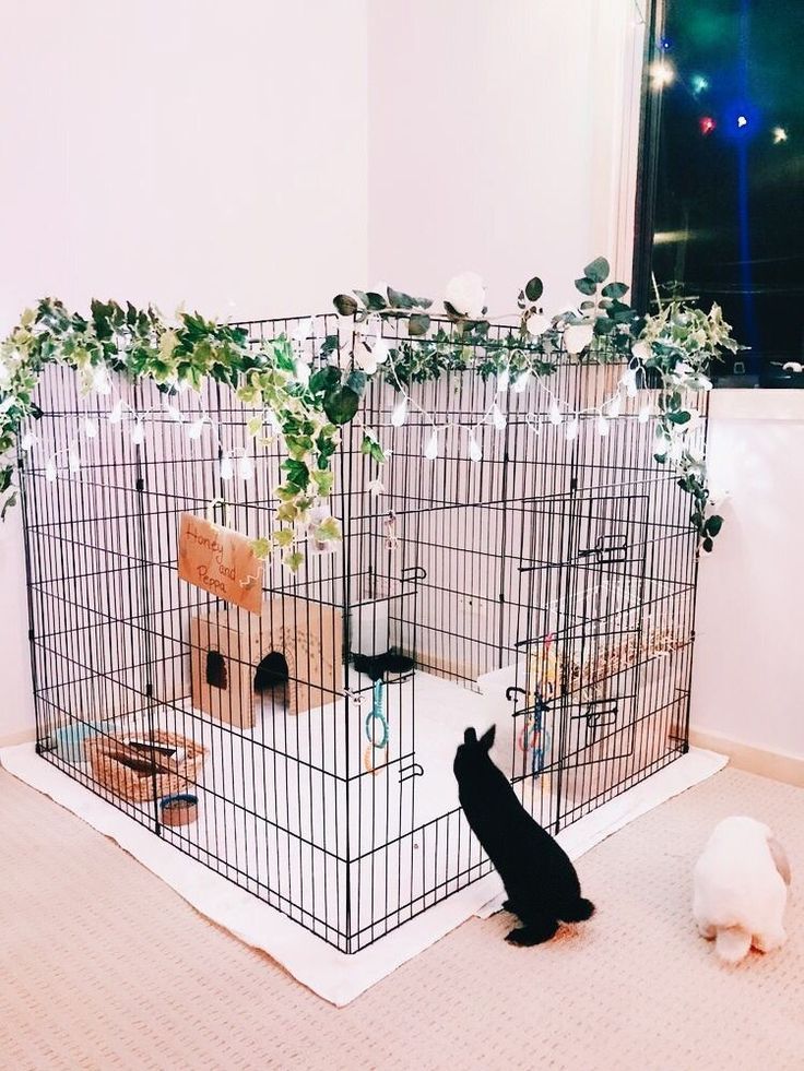 Guinea Pigs and Puppies 11.4X14.1 inch 10 Panels Small Animal Kennel and Fence for Indoor//Outdoor Use SIMPDIY Pet Playpen Comfortable Pet Premium Villa Crate Tent for Bunnies Kitties