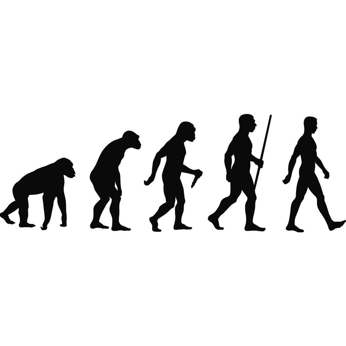 Darwin EVOLUTION OF MAN MOTORCROSS wall art sticker room decal