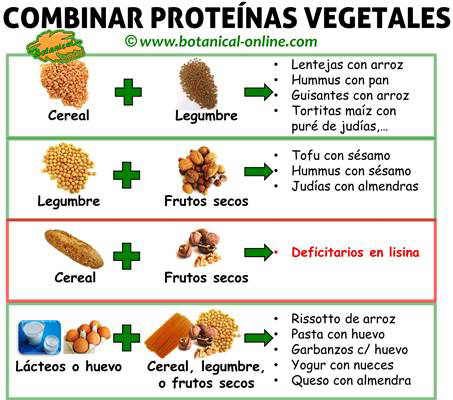 Como combinar los alimentos en una dieta vegana