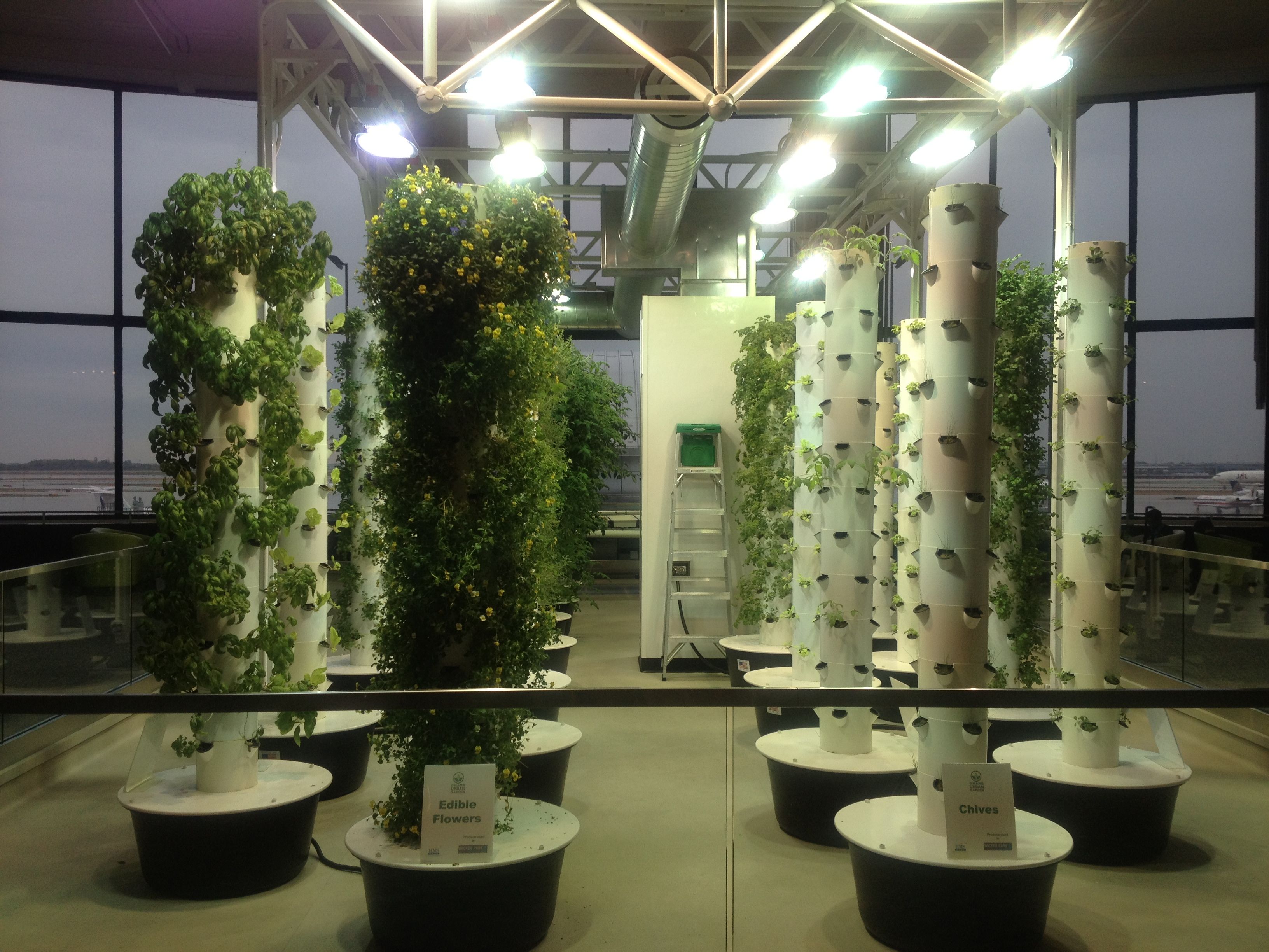 Urban Garden Chicago Ohare Intl Airport In Terminal 2, Urban Garden Chicago Ohare Intl Airport In Terminal 2,