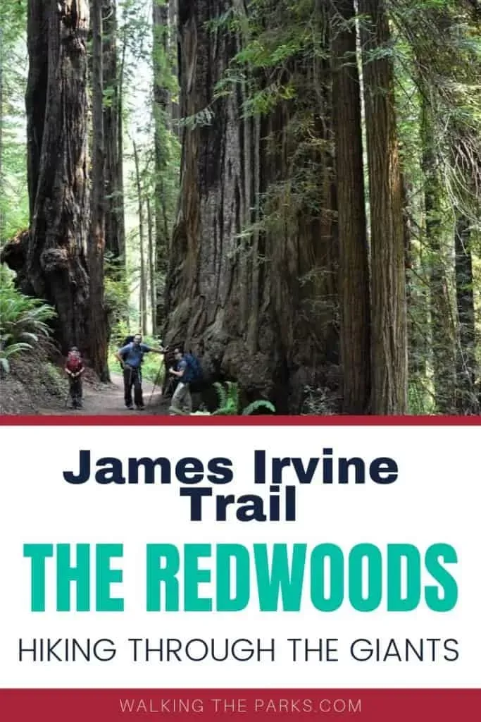 California National Parks, Us National Parks, Family Vacation Destinations, Best Vacations, Travel Destinations, Road Trip Hacks, Road Trips, California Camping, Day Hike