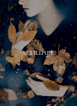 https://i.pinimg.com/originals/80/2a/75/802a75ef91e95e3489dc8eb6358d4155.gif