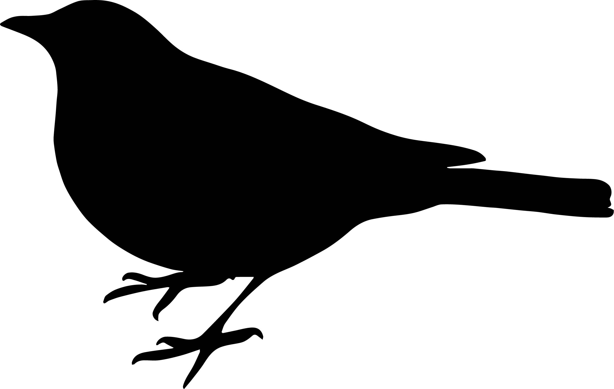 Download Black Bird Coloring Page | Bird coloring pages, Bird silhouette, Bird clipart