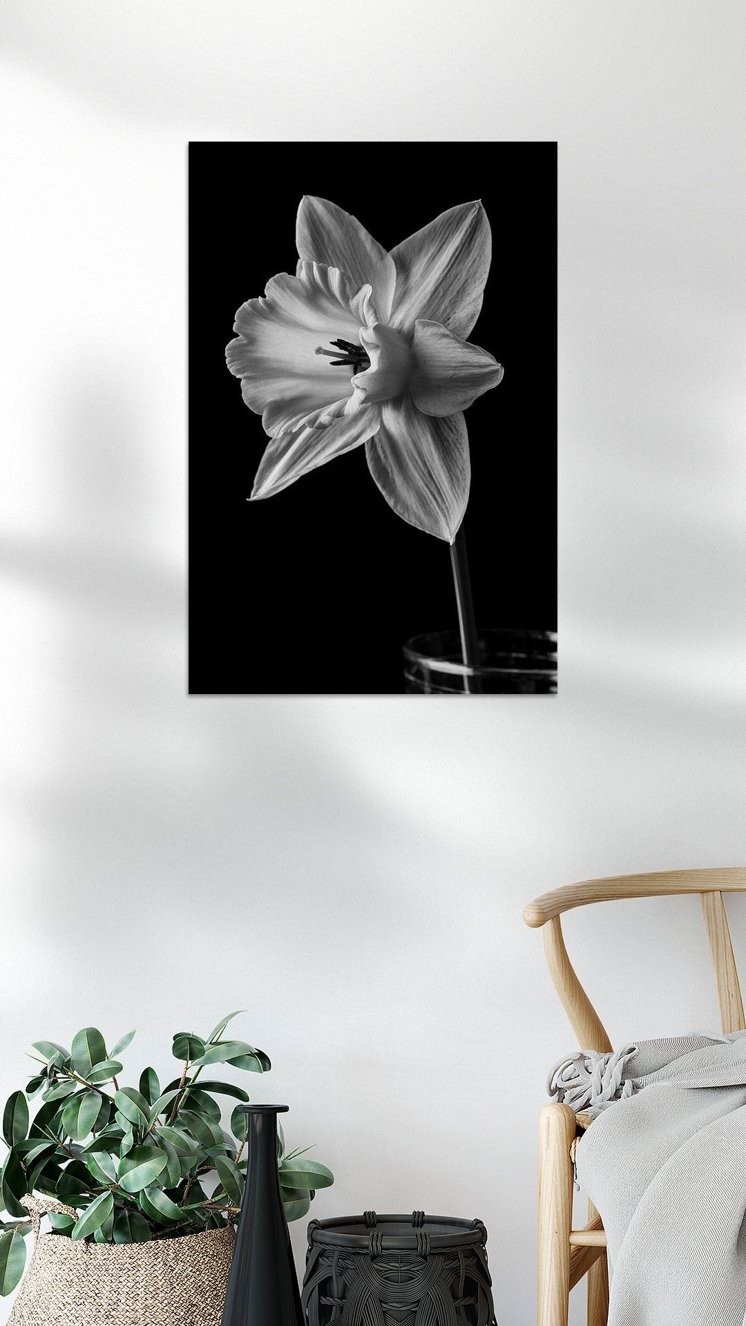 Koop het kunstwerk 'Narcissus mei 2015, Edward M. Fielding' van 1x als schilderij op canvas, aluminium dibond, HD Metal, (ingelijste) fotoprint, behang, en meer. Mei, Canvas, Fields, Prints, Products, Tela, Canvases, Gadget