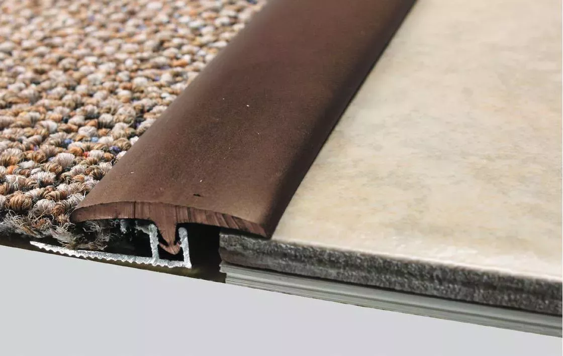 Blooming Door Transition From Tile To Carpet
