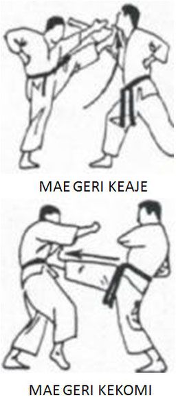 aikido along with exercising essay aikido and physical exercise essay