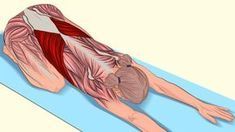 17 muscle stretching exercises that will make you feel perfect - Stretching movements are important...