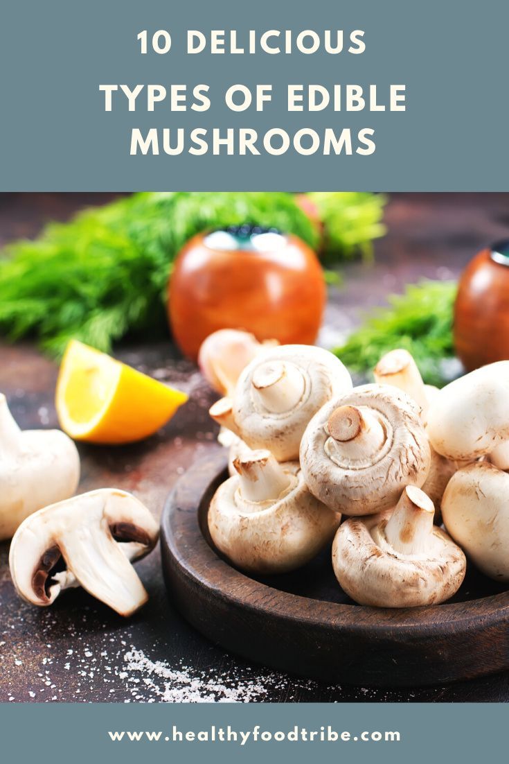 11 Popular Types of Edible Mushrooms