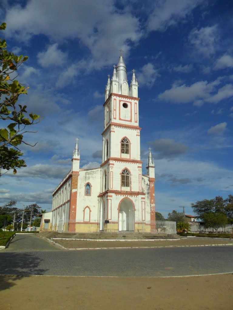 São Francisco Minas Gerais fonte: i.pinimg.com