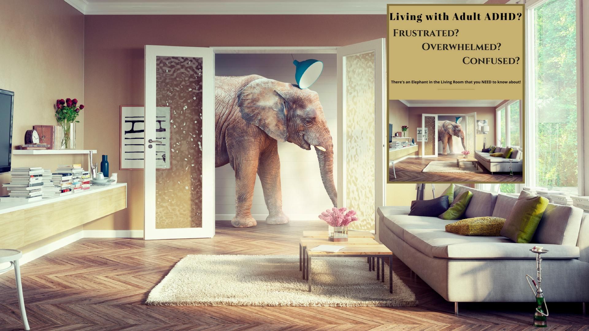 The Elephant In The Living Room With Images Documentaries