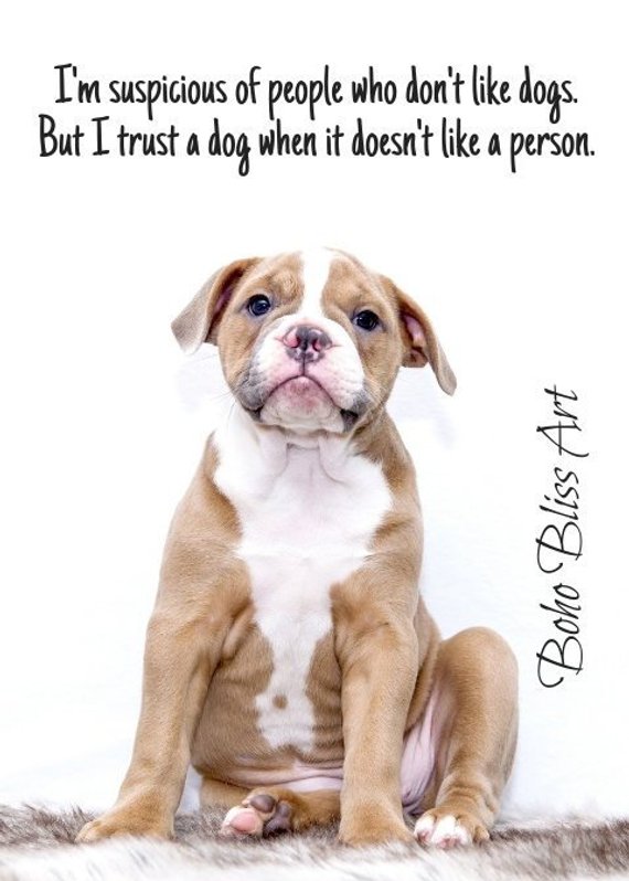 I M Suspicious Of People Who Don T Like Dogs But I Trust A Dog