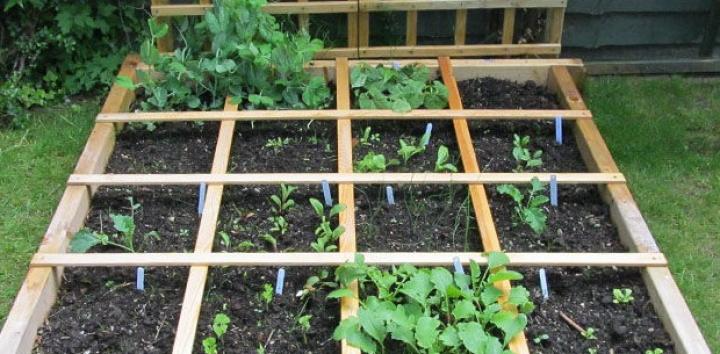 backyard garden 20x20 vegetable garden layout backyard garden 20x20 vegetable garden layout