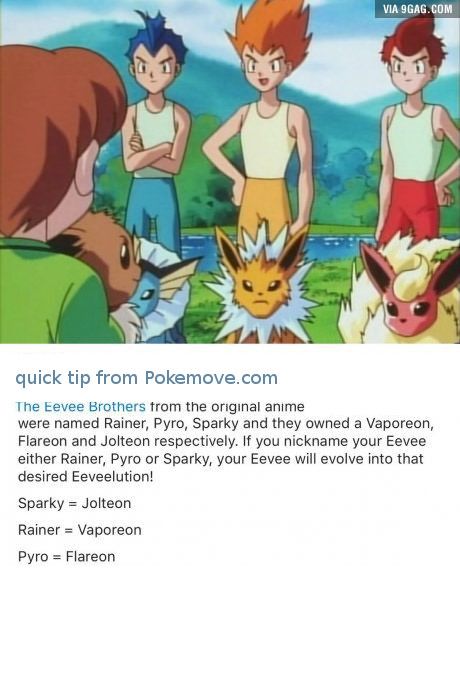 eeveelutionn eevee brothers is the key pokemon pinterest pokémon