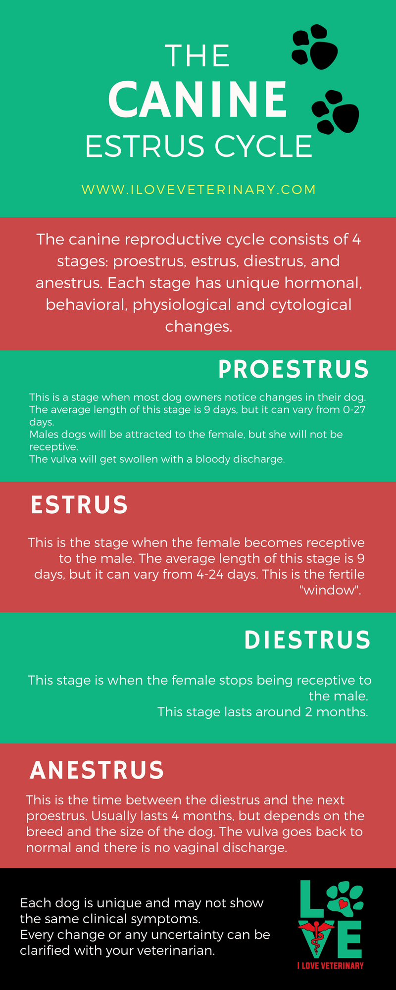 How Long Is A Male Dog Fertile