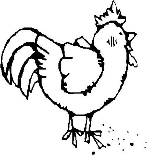 Download Pin di Chicken Coloring Pages