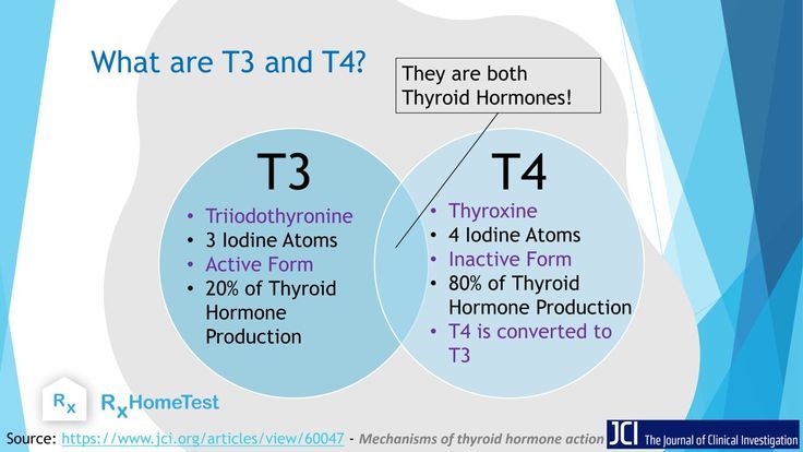 Thyroid Hormones: T3 vs T4