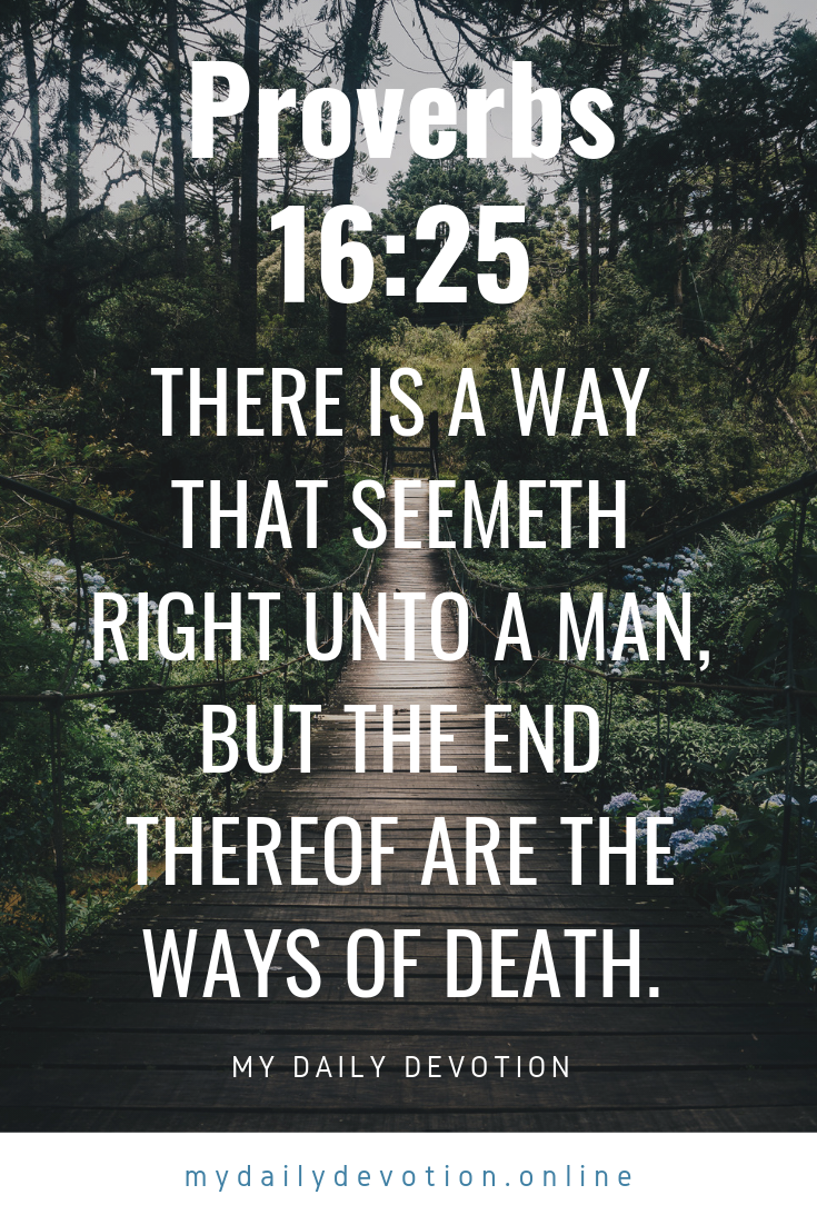 Proverbs 16 25 I Want To Do It My Way Devotional Mydailydevotion Online Bibleverses Bible Quotes My Daily Devotion Proverbs Daily Devotional