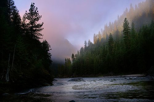 Selway River Idaho Google Search Scenic Places To Go Scenic Views