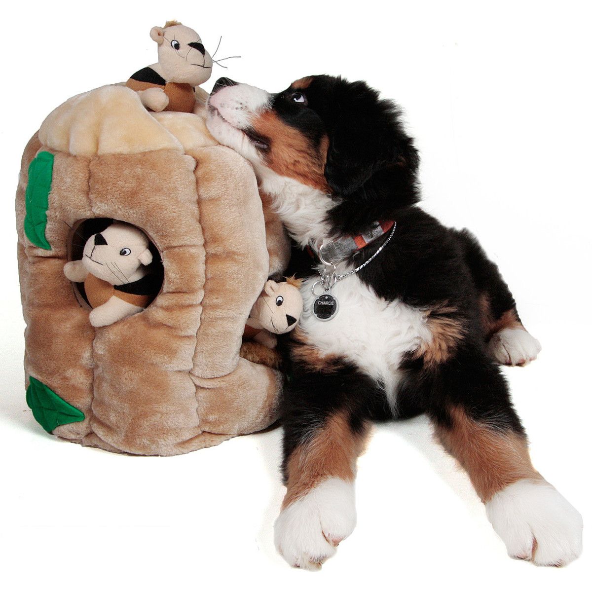 Hide A Squirrel Dog Toy It Works In Reverse To Regular Puzzles