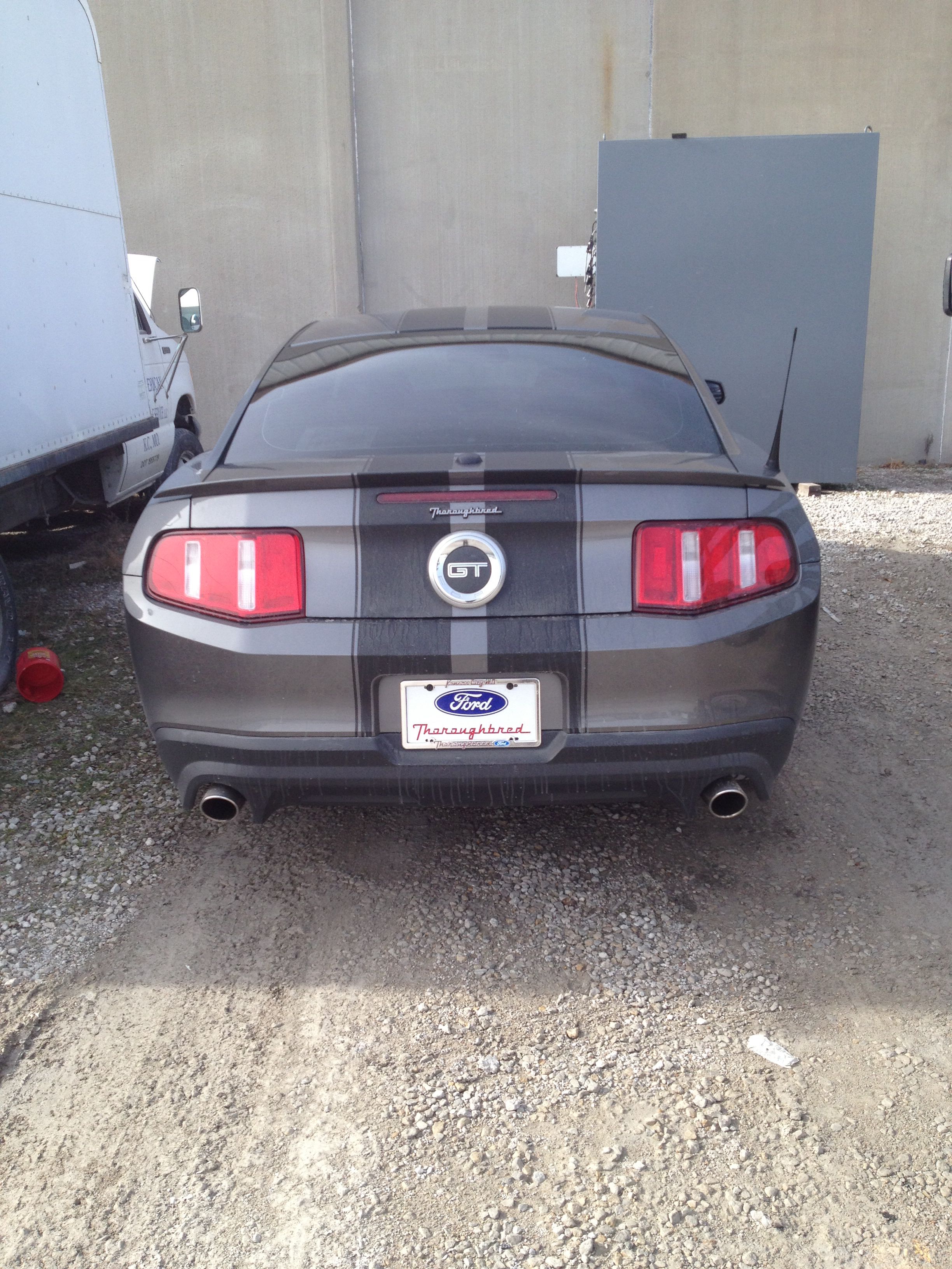 2012 GT 5.0 | Mustang gt, Cars, Mustang