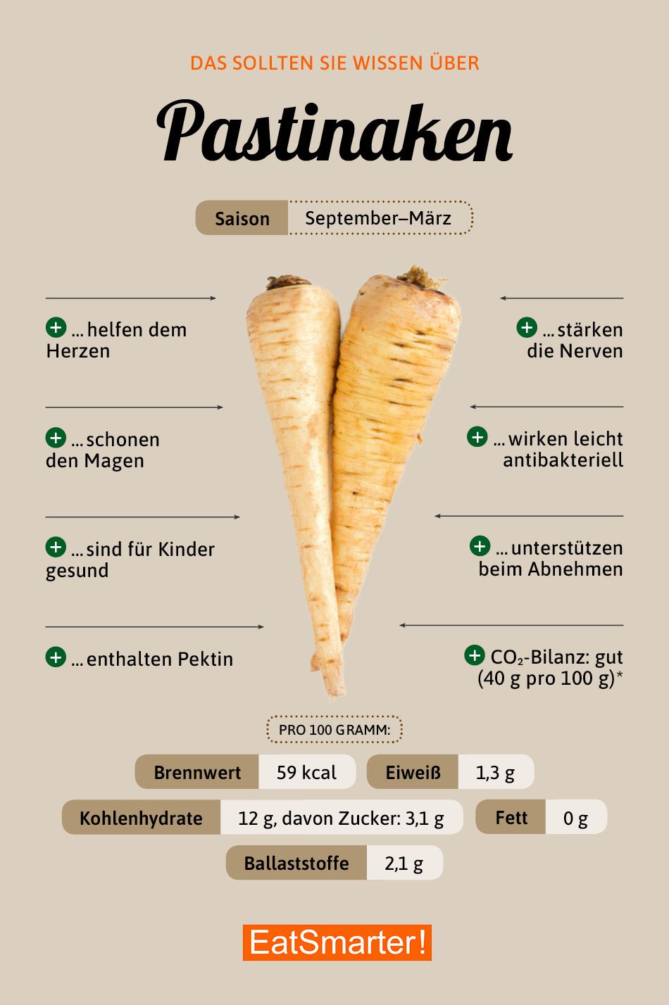 Pastinake Pastinaken Ernahrung Und Pastinaken Gesund
