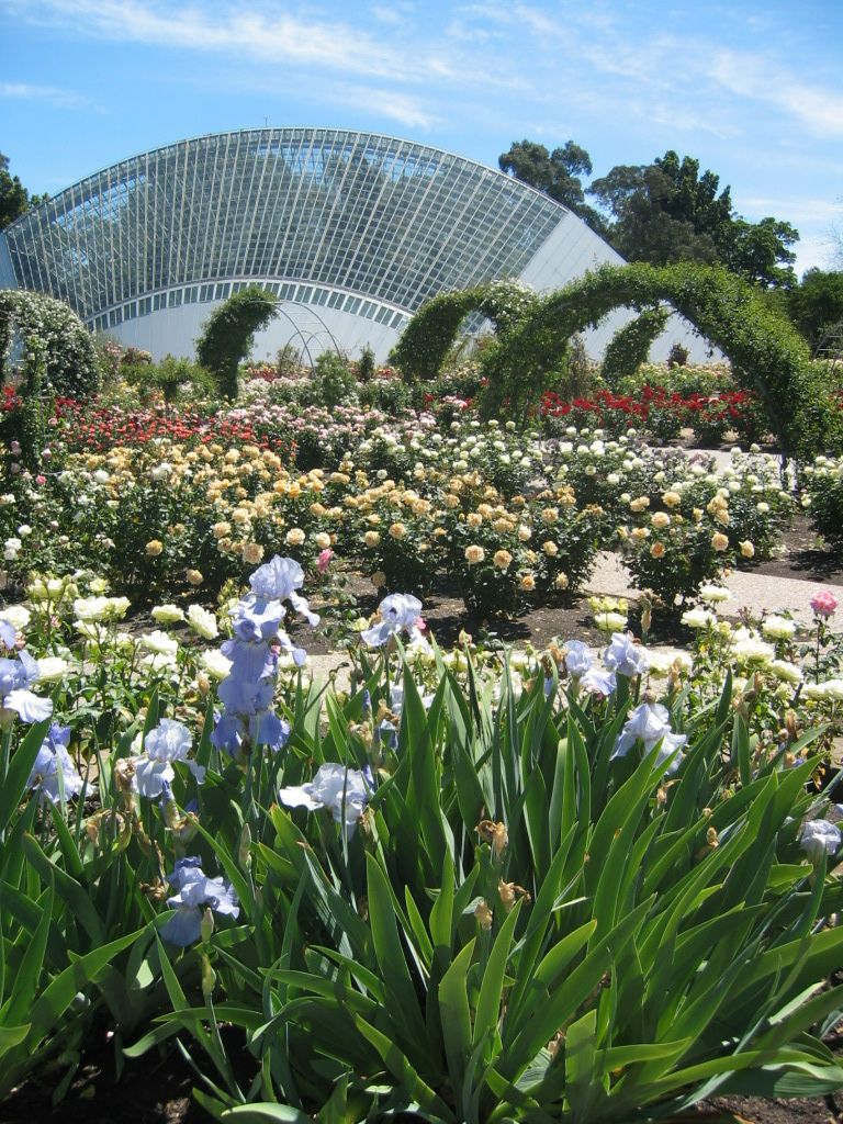 Adelaide Botanical Garden, South Australia Botanical gardens, Garden