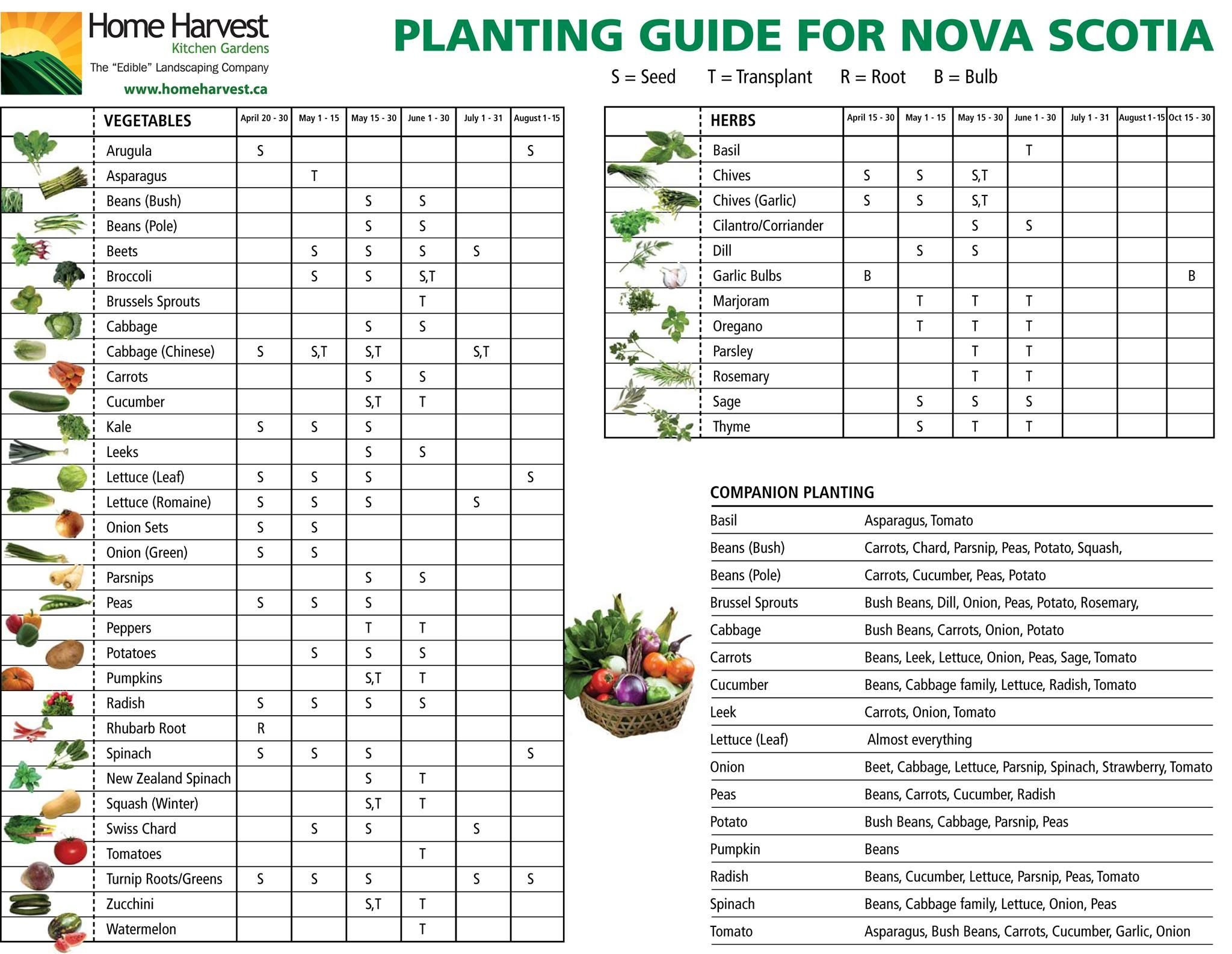 Planting Guide for Nova Scotia Vegetable planting guide, When to