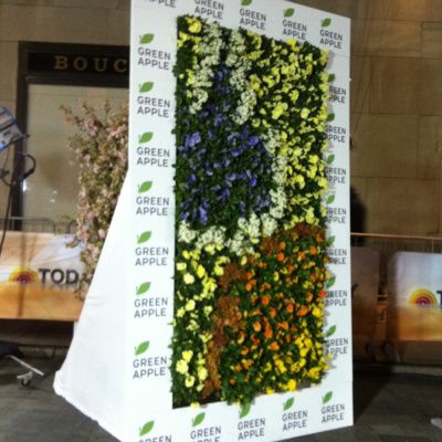 Green Living Wall Gallery | Green Living Technologies Living Green Roof, Living Roofs, Vertical Garden Plants, Living Wall, Wall Gallery, Plant Wall, Green Wall, Growing Plants, Design
