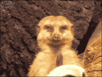 me every morning on buss train going to work funny pictures of the