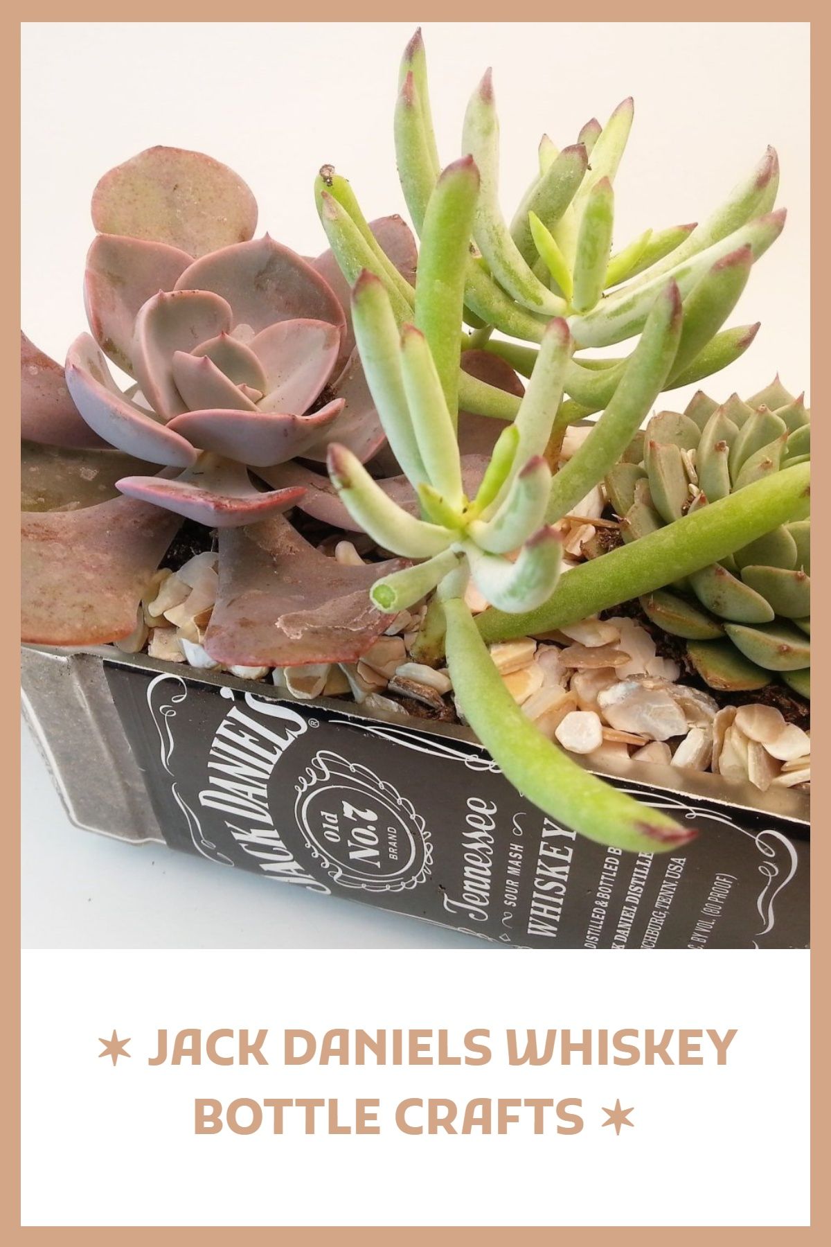 You’ve found it, the unique gift that will surprise and excite her! Can’t you just see her face opening it? She loves to have friends over, loves whiskey and bourbon and is such a wonderful hostess. This professionally cut Jack Daniels bottle is a gift she can use over and over again but doesn’t already have. Her parties this year are going to be memorable! And she is going to love the attention her Jack Daniels décor is getting. And between parties she will pour herself a Jack and Coke, take a Wine Bottle Planter, Wine Bottle Centerpieces, Bottle Garden, Wine Bottle Decor, Vases, Jack Daniels Decor, Jack Daniels Bottle, Unique Wine Gifts, Unique Wines