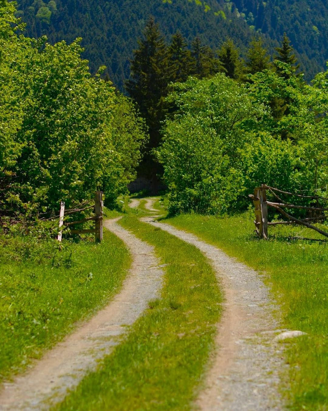 heidininvarisigami 28 bolum gami koyunden yine uzaklara gozunu dikmisti bu uzun yol onu sevdigi bir yere goturuyordu orda cok buyuk bi merida resim ordu