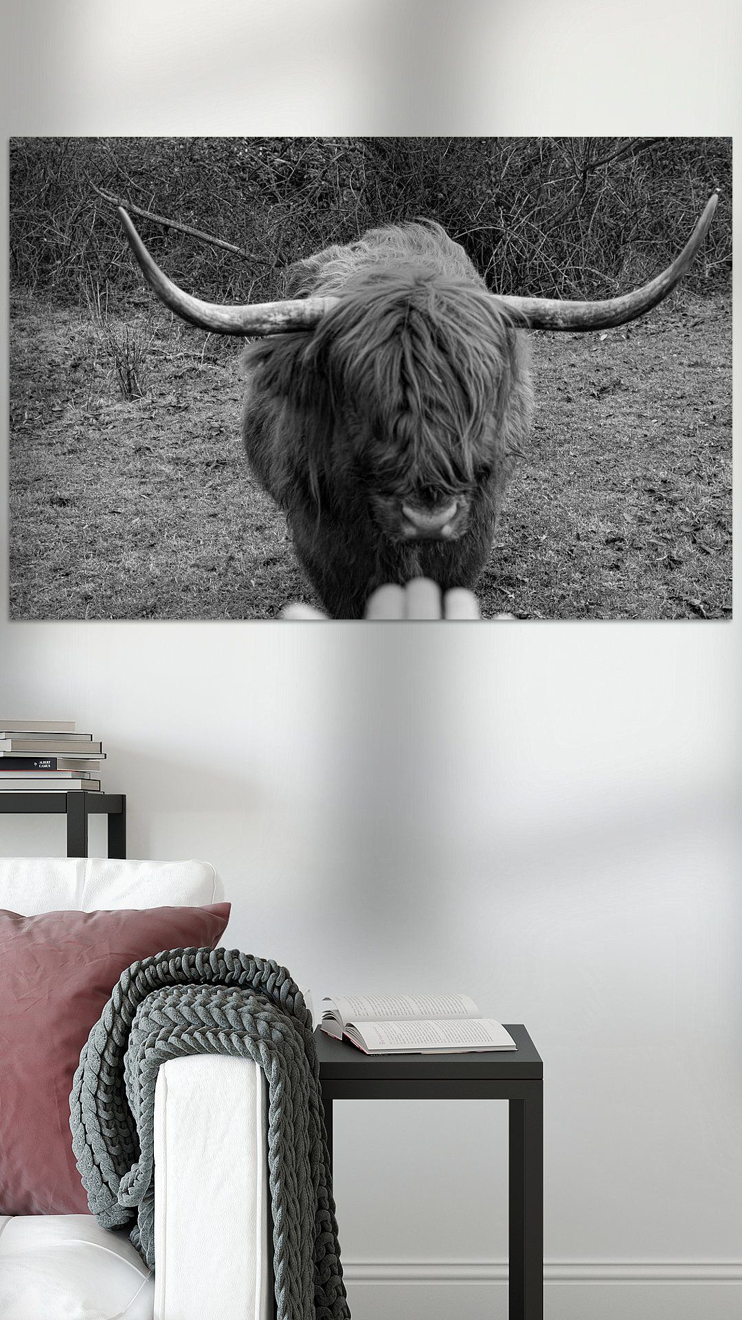 De Schotse hooglander (Schots-Gaelisch: Bò Ghàidhealach; Schots: Heilan coo), ook wel Highland Cow genoemd, is een meestal roodbruin runderras dat oorspronkelijk uit Schotland komt. Ze hebben lang haar en lange hoorns. Canvas, Tela, Canvases