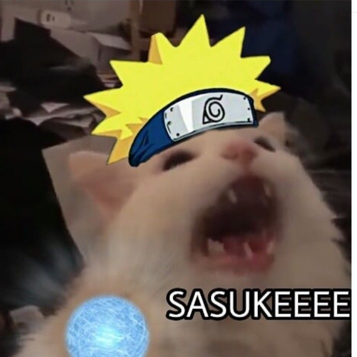 Metadinha gatinhos Naruto  Cat icon, Cats, Cat memes