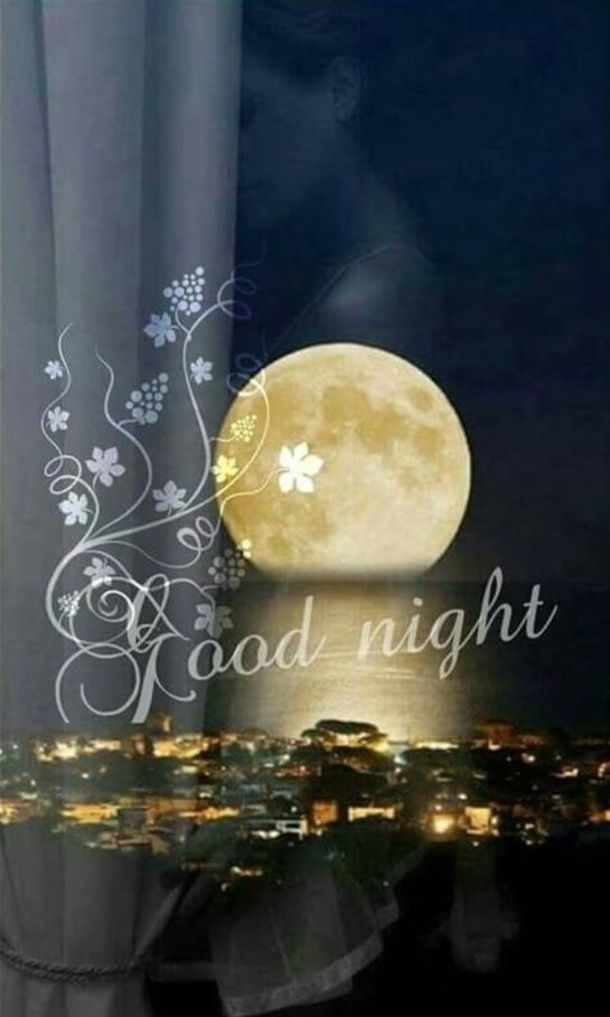 10 Great Good Night Quotes Images For Family & Friends Romantic Good Night, Good Night Flowers, Beautiful Good Night Images, Good Night Friends, Good Night Gif, Good Night Wishes, Good Night Moon, Good Night Sweet Dreams, Good Morning Good Night