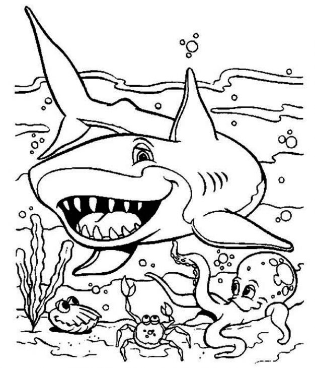 Animal Coloring Pages Shark Shark Coloring Pages Animal Coloring Pages Coloring Pages For Boys