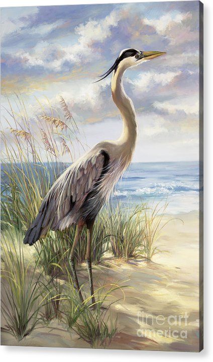 watercolor egret vaisselle aves pinturas schilderijen assembled