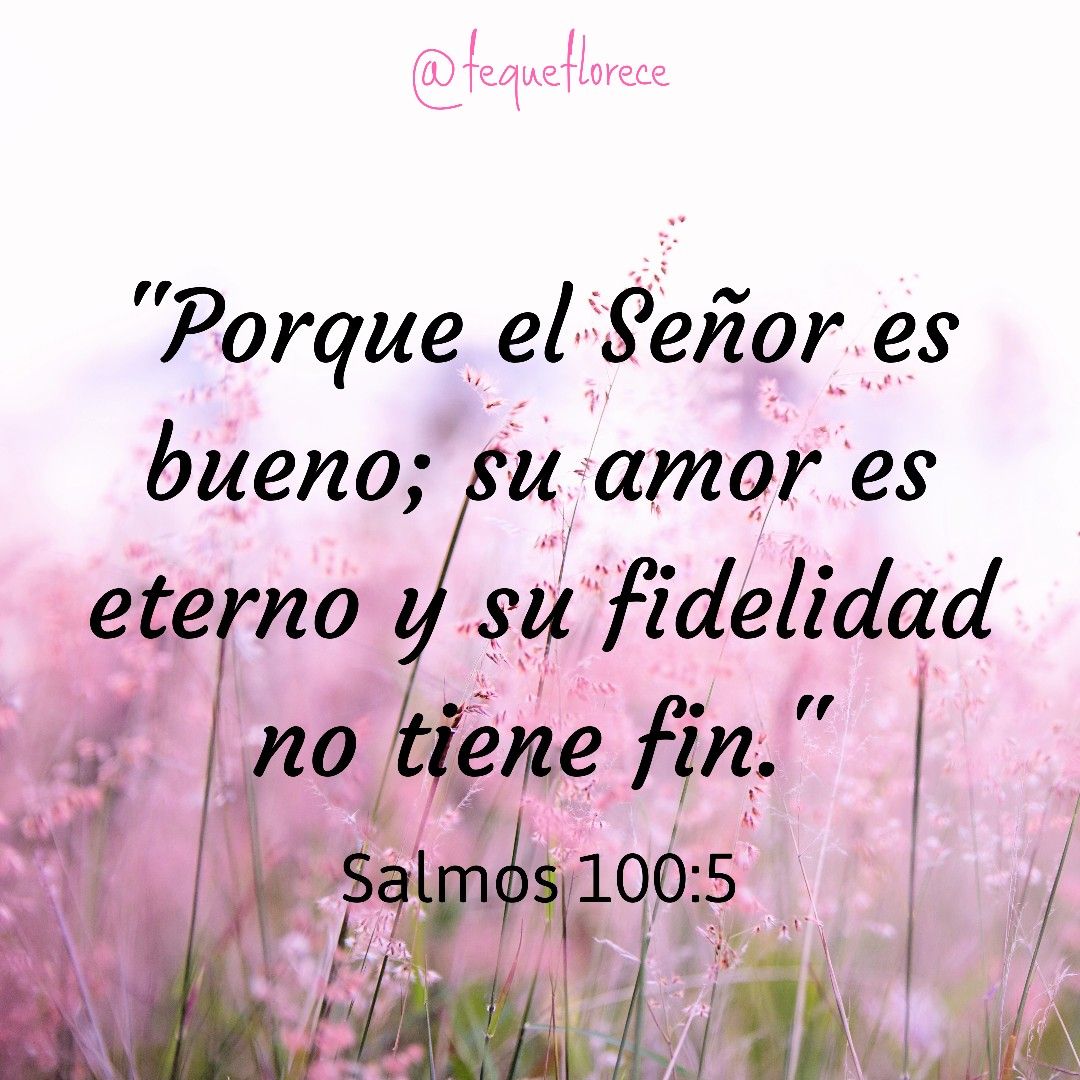 A Field Full Of Pink Flowers With A Quote In Spanish a-field-full-of-pink-flowers-with-a-quote-in-spanish