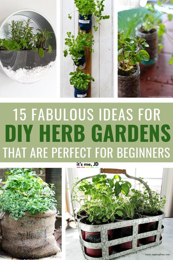 15 Fabulous Diy Herb Garden Ideas That Are Perfect For Beginners Home Vegetable Design 15 Fabulous Diy Herb Garden Ideas That, Herb Garden Tips Beginners