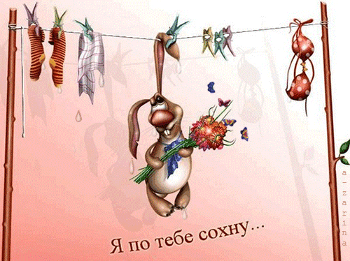 Картинки любимому прикольные залюблю, днем рождения лет
